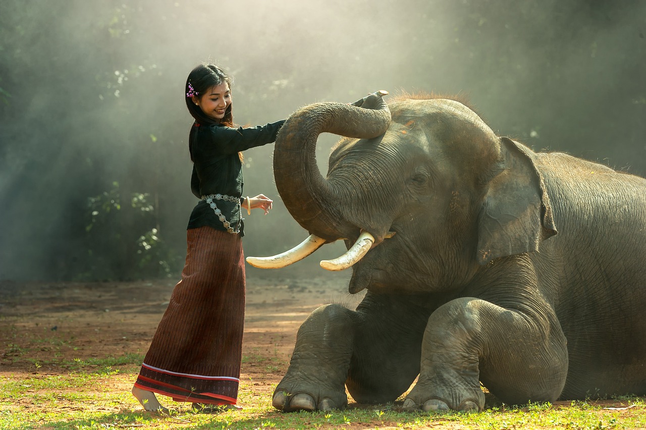 Full Article Image Description Picture of Girl with Elephant