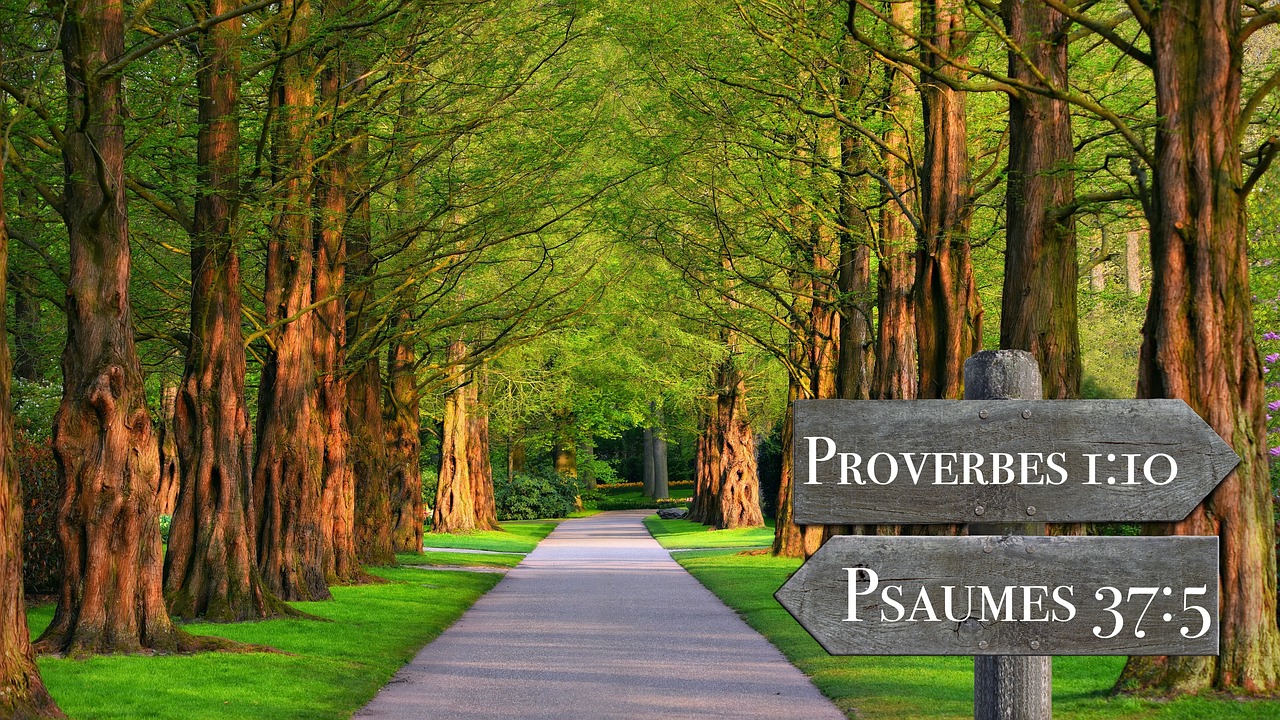 Intro Image of Bible Quote Signs from Pixabay